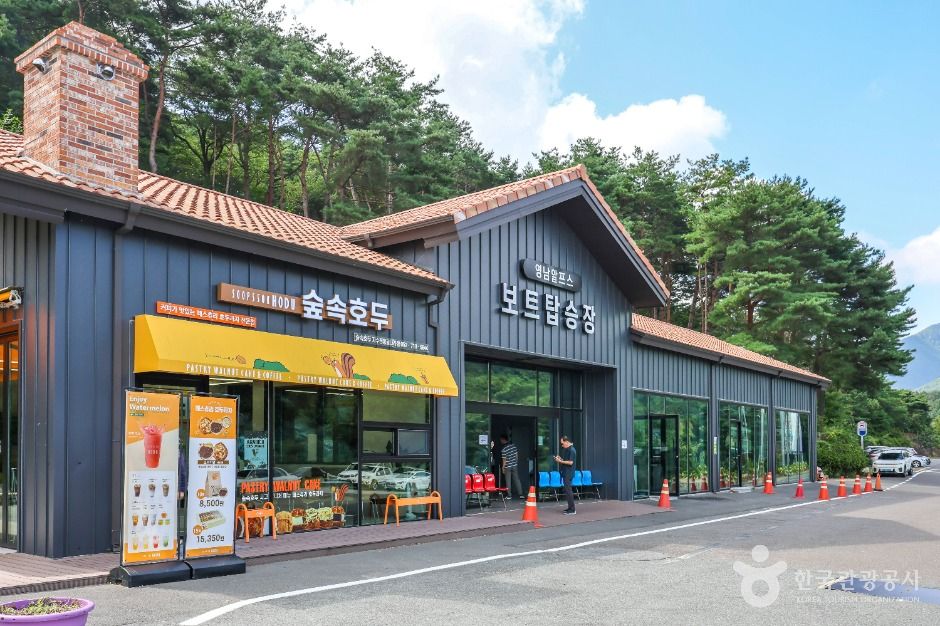 자수정 동굴나라