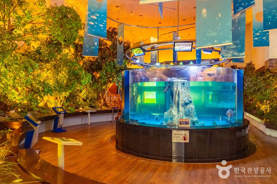 섬진강어류생태관