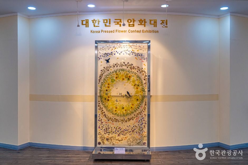 한국압화박물관