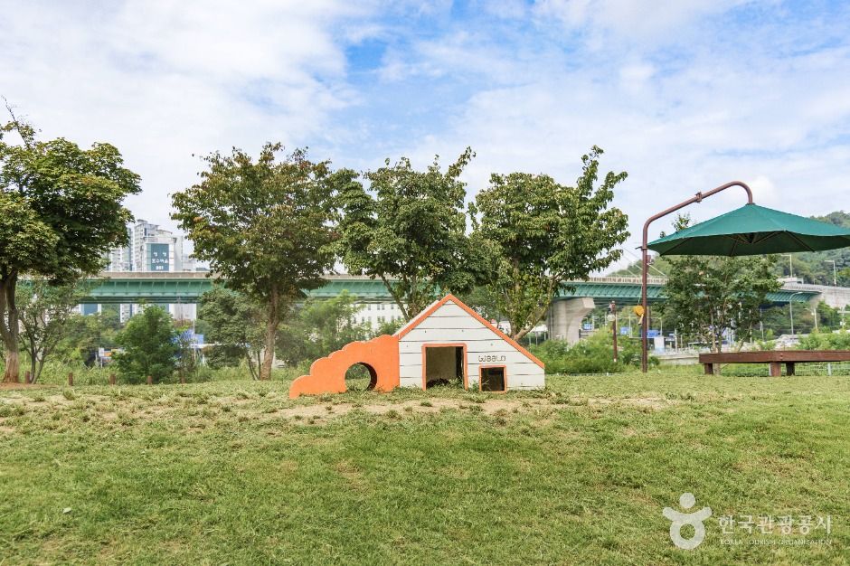 기흥레스피아호수공원 반려동물놀이터