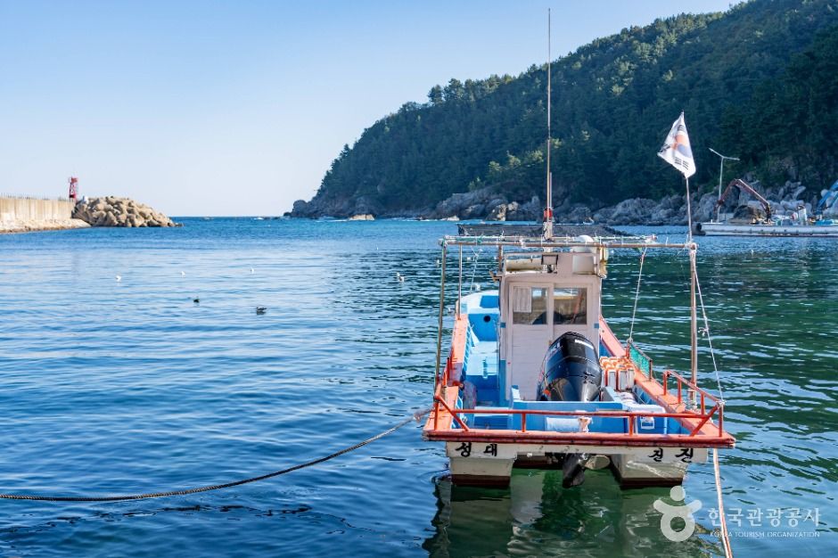 thumbnail-대진항(삼척)-5