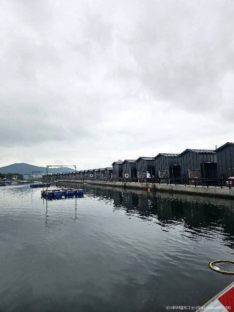 선두바다낚시터