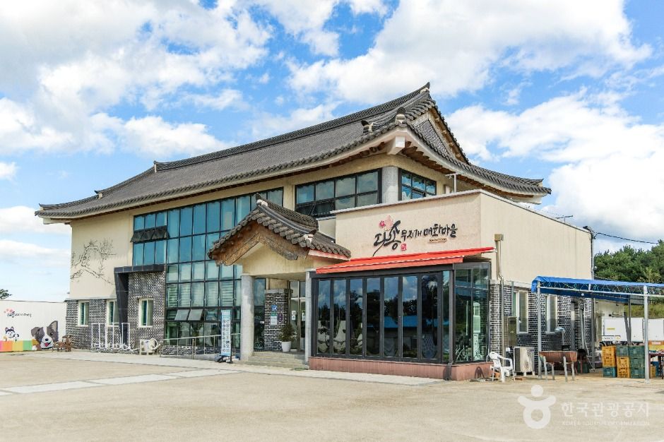 익산_다송무지개매화마을 (2)