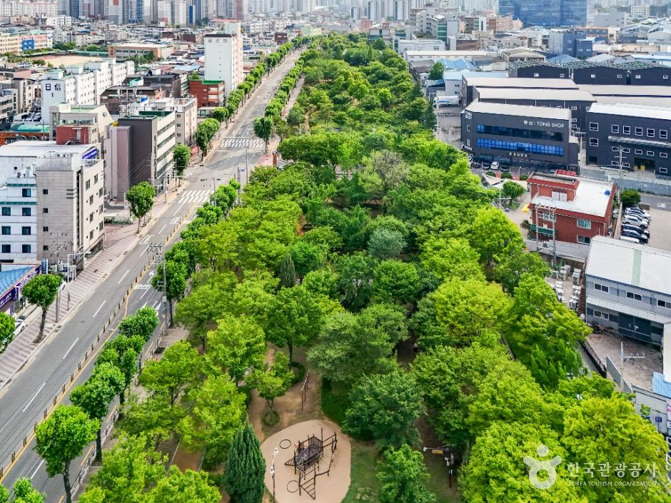 thumbnail-서구 그린웨이-11