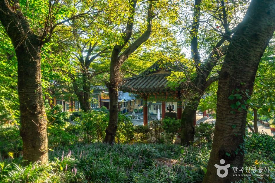 thumbnail-원각사(창원)-3