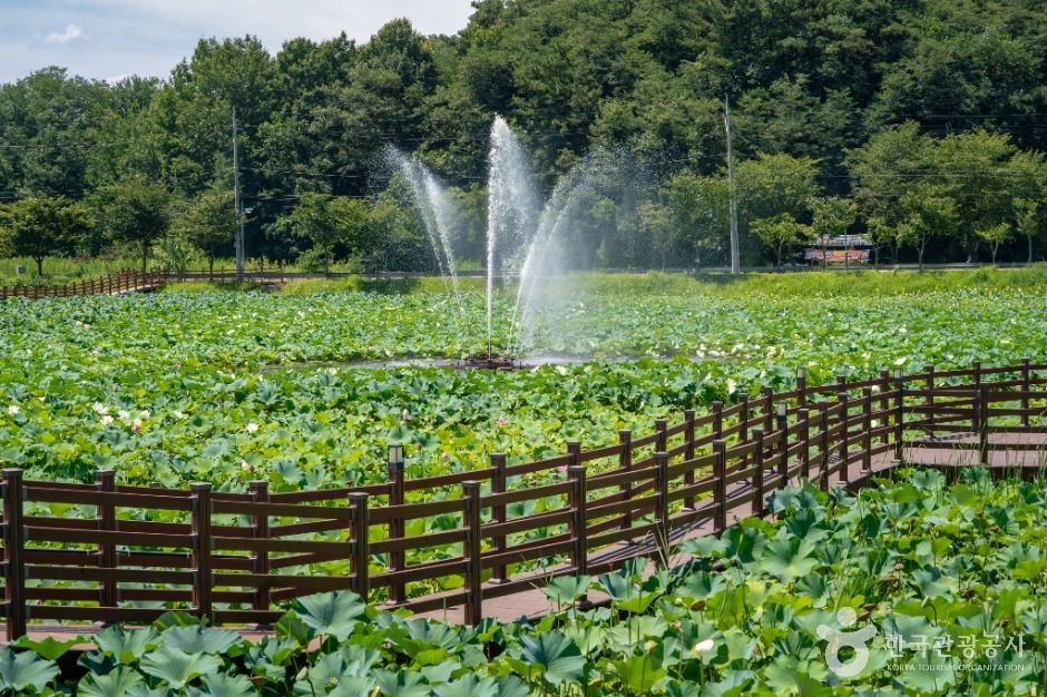 뒷미지수변공원