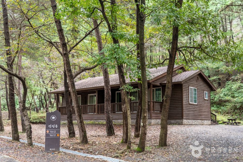 국립 희리산해송자연휴양림