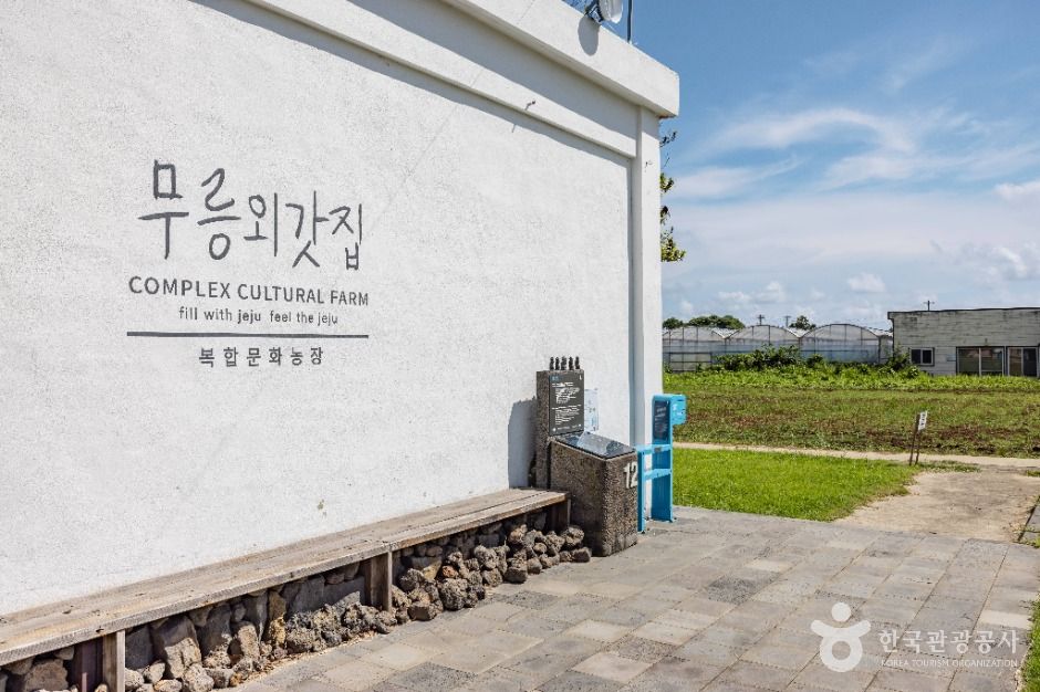 서귀포_무릉외갓집 (10)