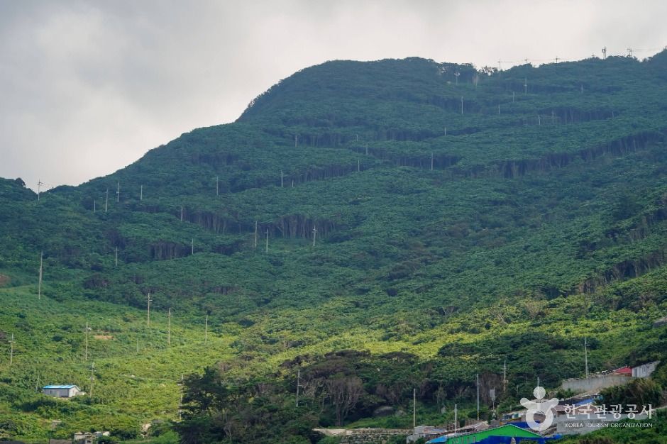 thumbnail-가거도-4