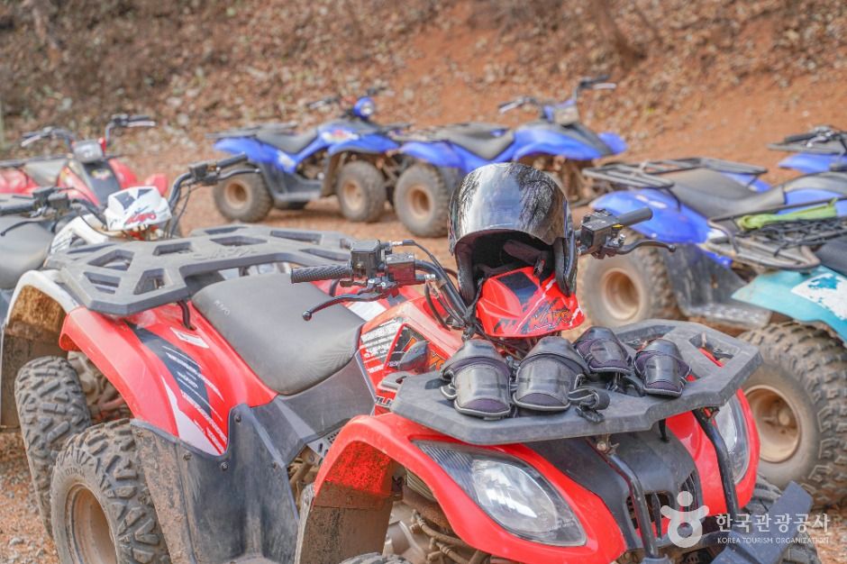 엑스라이프(X-LIFE)