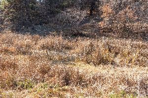 합천_내천못재 (2)