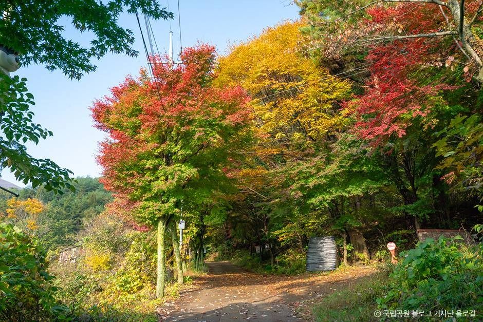 무등산국립공원(전남)