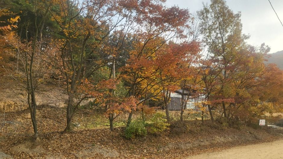 천안_남창낚시터 (1)