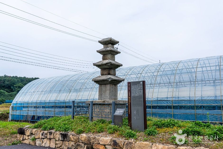 장성_진원리 오층석탑 (3)