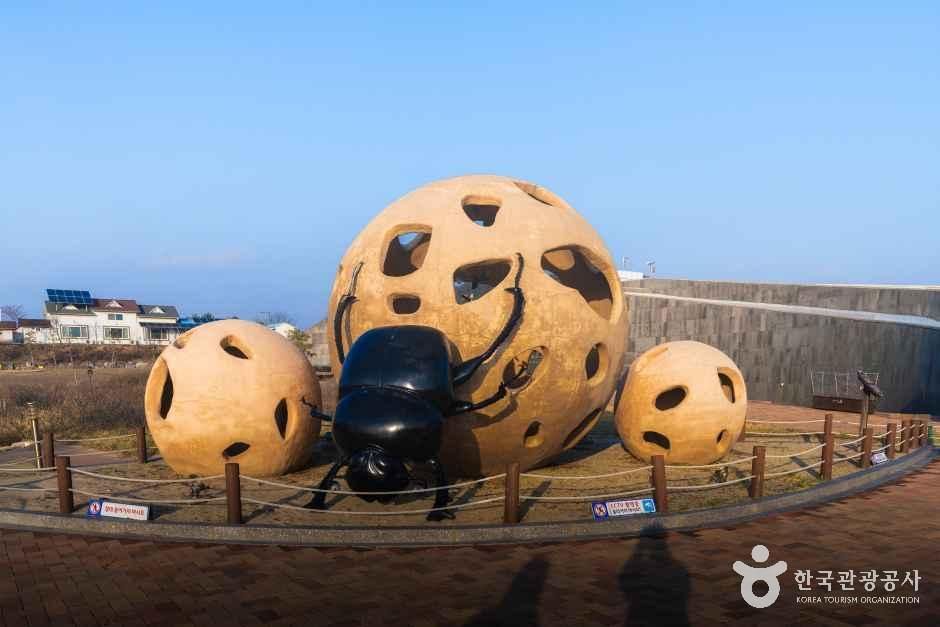 신두리사구센터