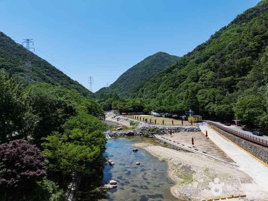 thumbnail-장령산자연휴양림-10