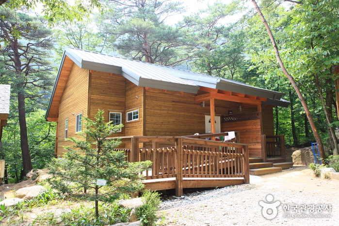 thumbnail-Daegwallyeong National Recreational Forest (국립 대관령자연휴양림)-3