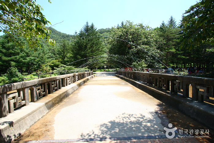 Songnisan National Park (Chungcheongbuk-do Section) (속리산국립공원(충북))