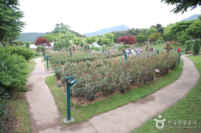 Seoul Grand Park (서울대공원-서울동물원)