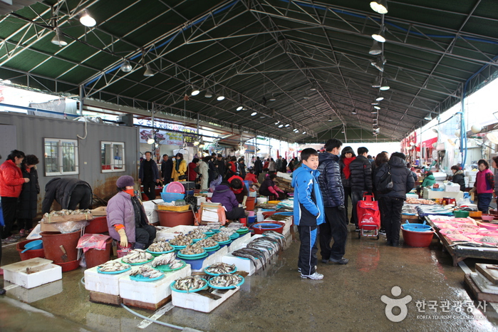 Jukdo Market (포항 죽도시장)