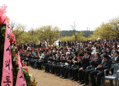 Icheon Baeksa Sansuyu Flower Festival (이천백사 산수유꽃축제)