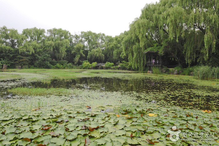 The Botanical Garden BCJ (Byeokchoji) (벽초지 문화수목원)