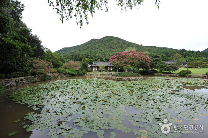Ullimsanbang House (진도 운림산방)
