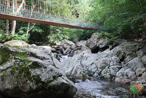 Mulhan Valley (물한계곡)