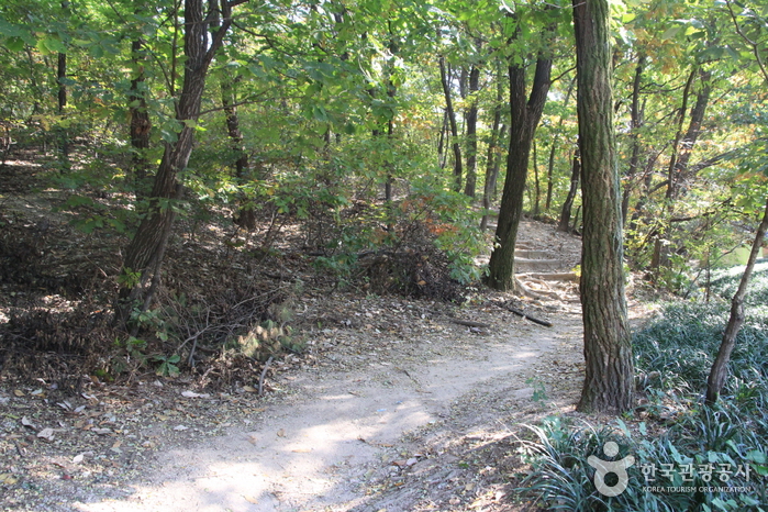 Monte Bonghwasan en Seúl (봉화산(서울))