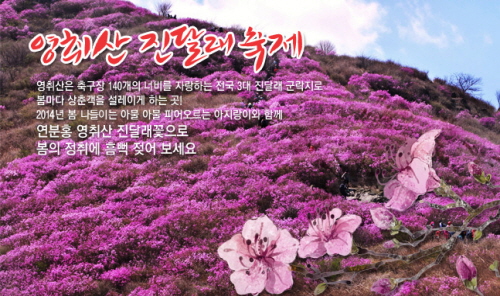 영취산 진달래축제 2014
