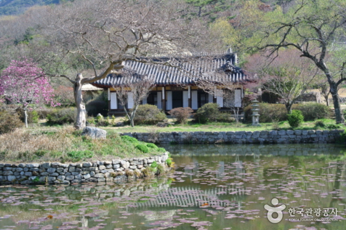 진도 운림산방 사진14