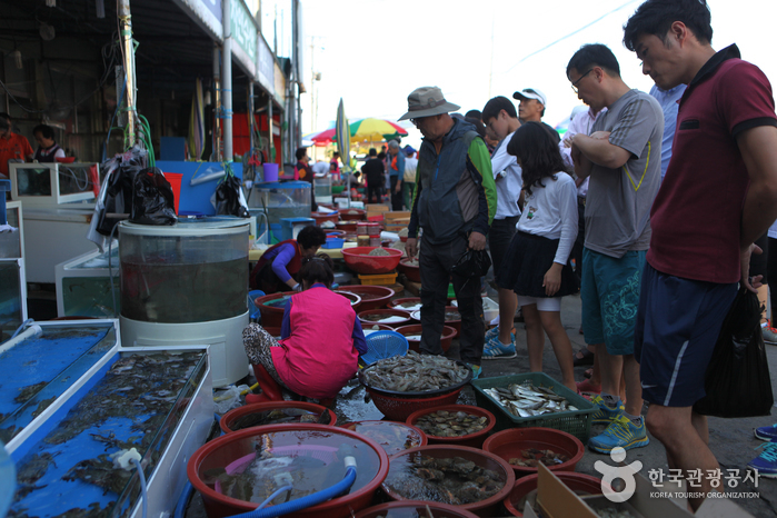 Sacheon Hongwonhang Maifisch- & Krabbenfestival (서천 홍원항 자연산 전어·꽃게 축제)