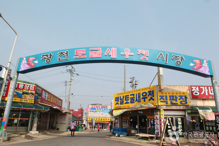 Gwangcheon Cave Salted Shrimp Market (광천 토굴새우젓시장)