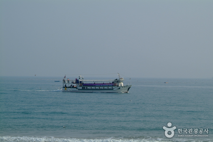 Haeundae Cruise Boat (부산 해운대동백섬 유람선)