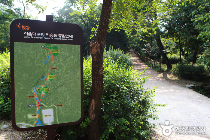 격적인 힐링 산책이 시작되는 산림치유숲 초입. 종합안내판이 함께 있다