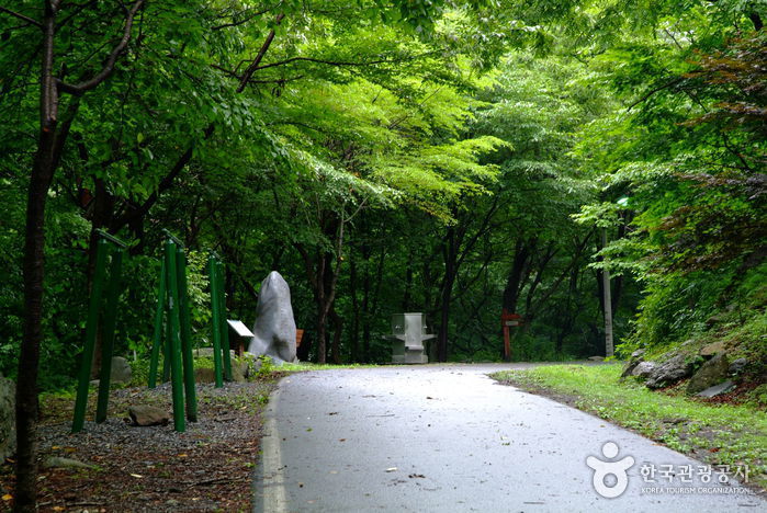 Forêt Seongjusan (성주산자연휴양림)