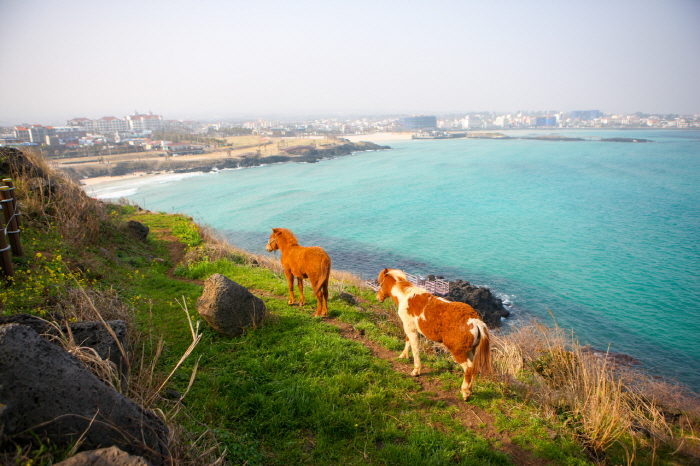 Strand Hamdeok Seoub...