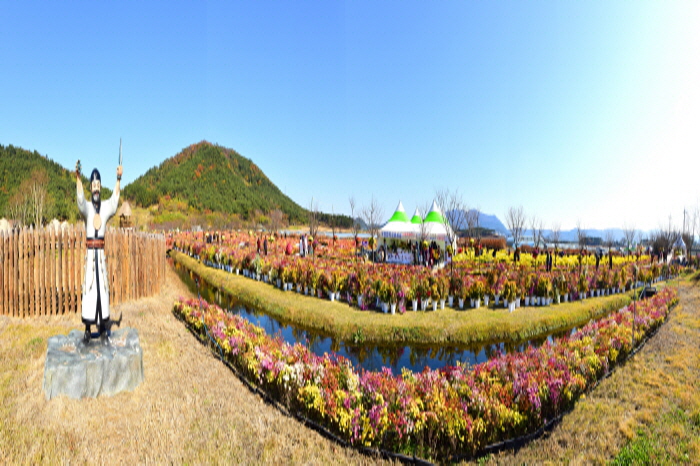 한반도 첫수도 고창국화축제 2018 사진2