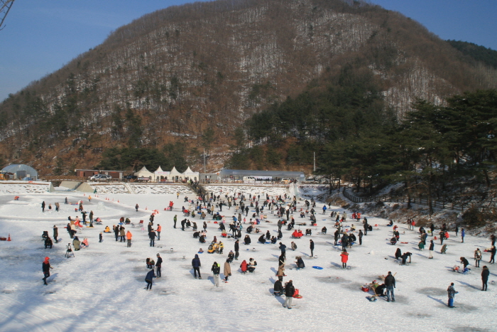 Yangpyeong Icefish Festival (물맑은양평 빙어축제)