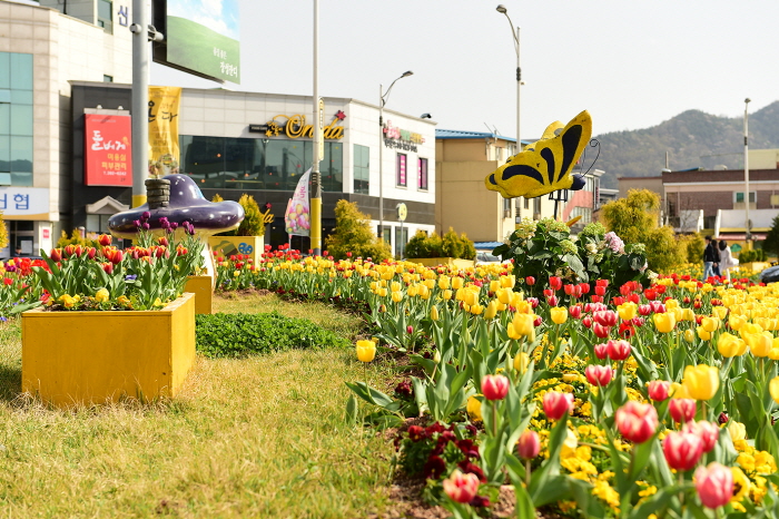 장성 빈센트의 봄 20192
