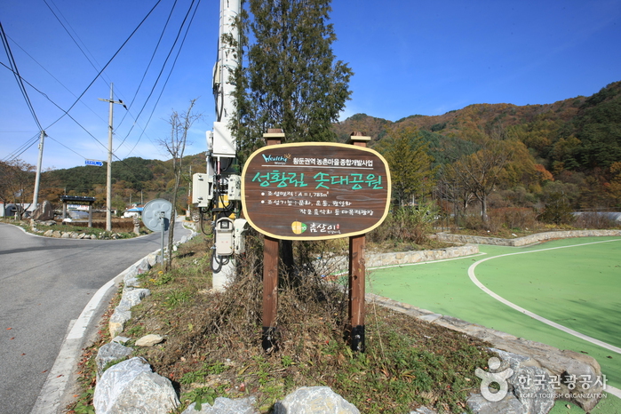 Seonghwangrim à Seongnam-ri, Wonseong (원성 성남리 성황림)