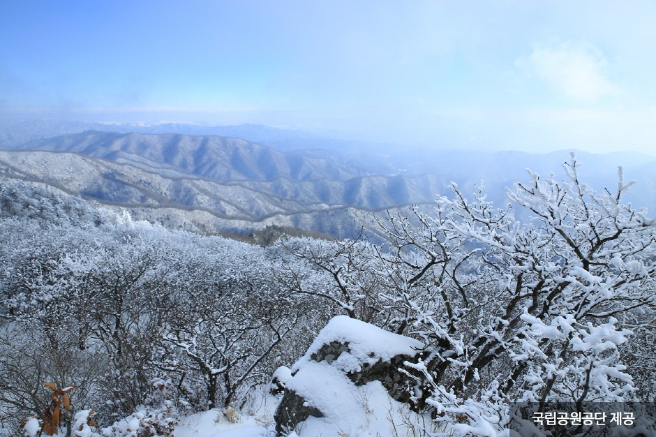 Odaesan National Park (오대산국립공원)