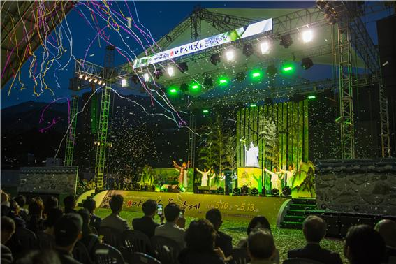 Фестиваль культуры дикого чая в Хадоне (하동 야생차문화축제)