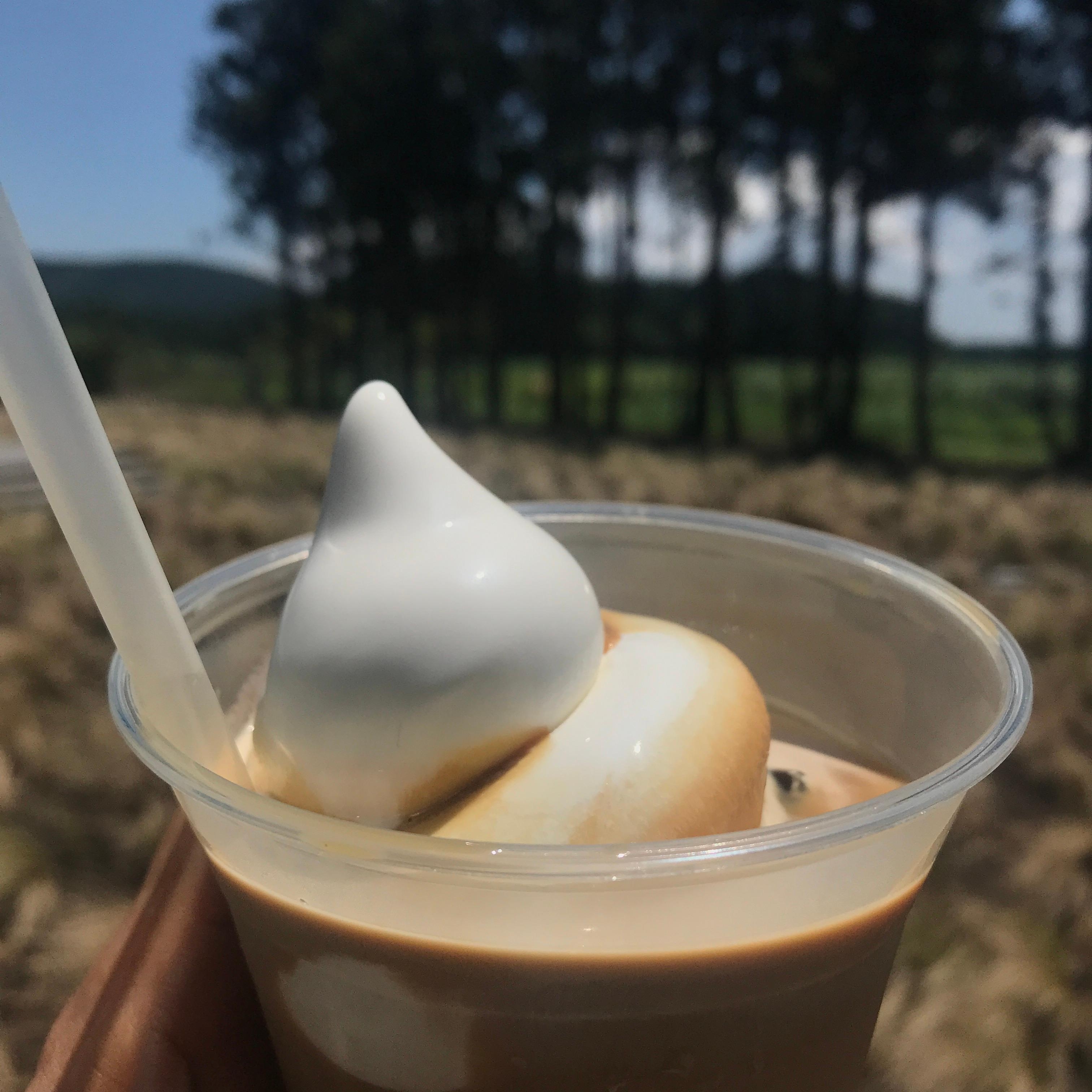 블루보틀 제주 카페1