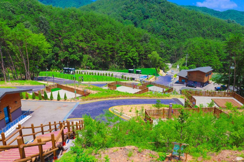 국립김천숲속야영장