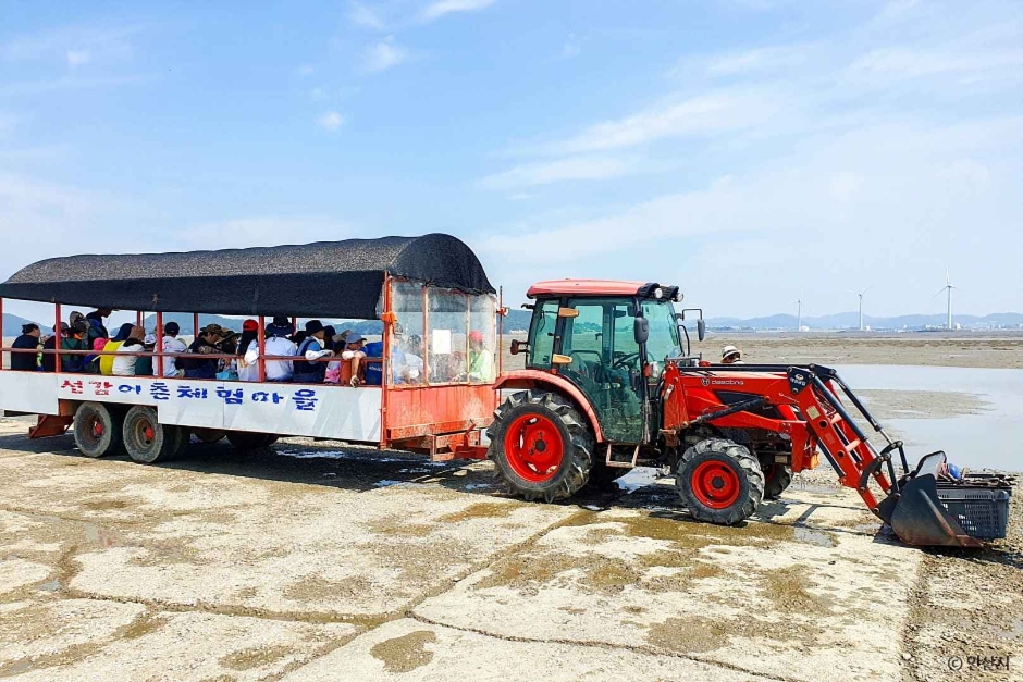 선감어촌체험마을