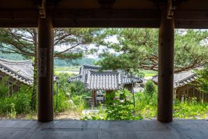 성주_덕천서원(성주) (5)