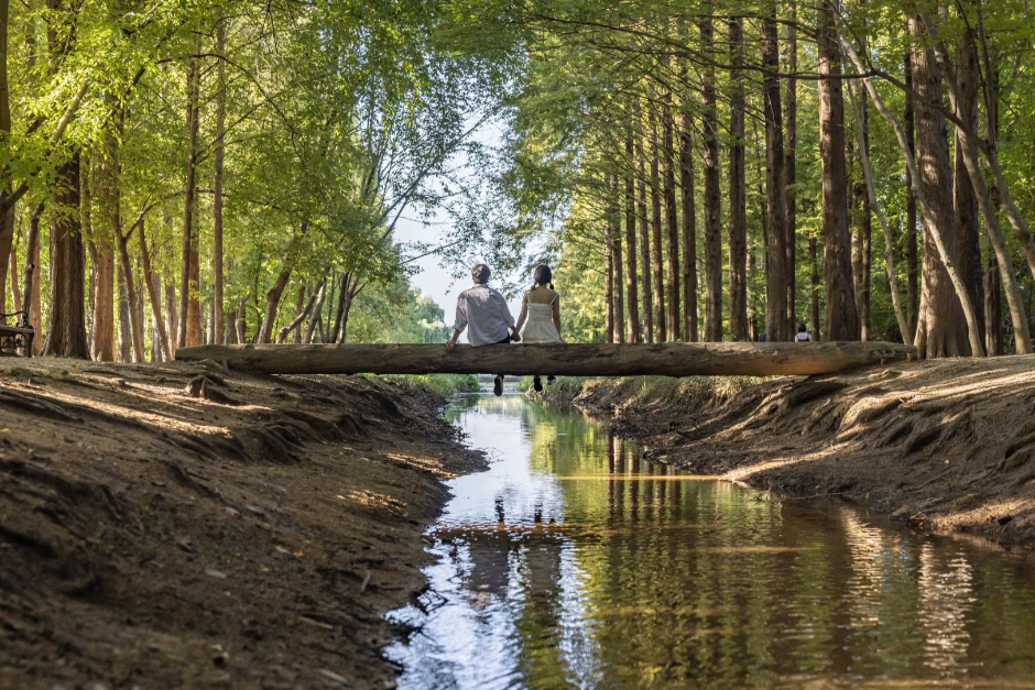 Gyeongbuk Millennium Forest Garden (경북천년숲정원)