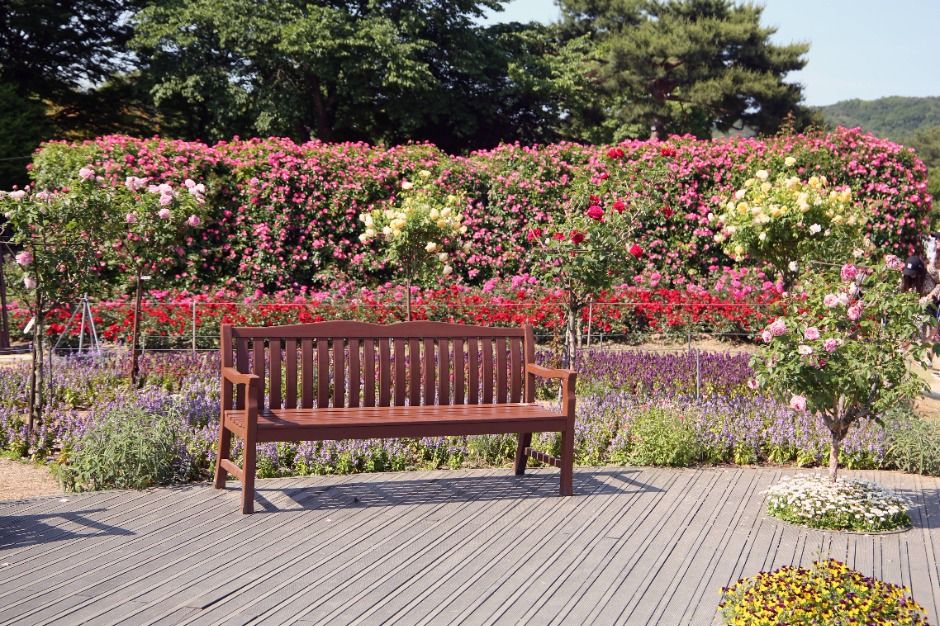 thumbnail-ソウル大公園（서울대공원）-19