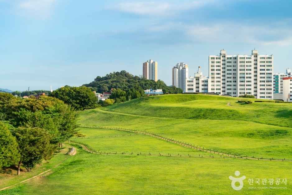 김해 대성동 고분군